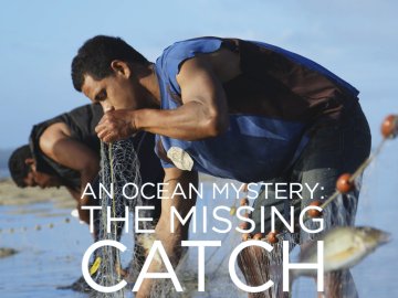 An Ocean Mystery: The Missing Catch