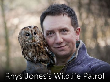 Rhys Jones's Wildlife Patrol