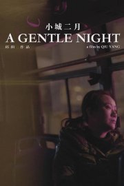 A Gentle Night