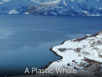 A Plastic Whale