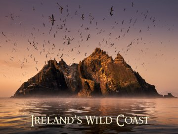 Ireland's Wild Coast