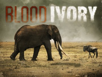 Blood Ivory