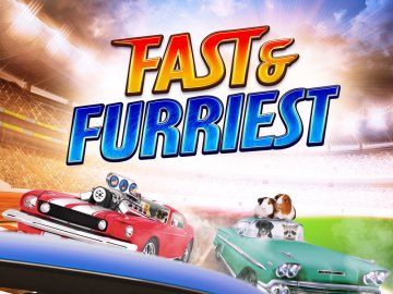 Fast & Furriest