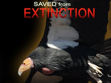 Saved From Extinction