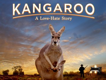 Kangaroo: A Love-Hate Story