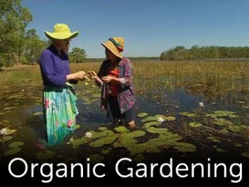 Organic Gardening