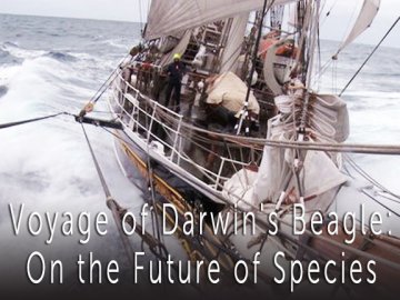 Voyage of Darwin's Beagle: On the Future of Species