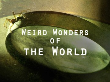 Weird Wonders of the World