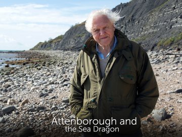 Attenborough and the Sea Dragon