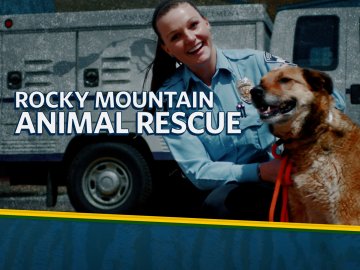 Rocky Mountain Animal Rescue