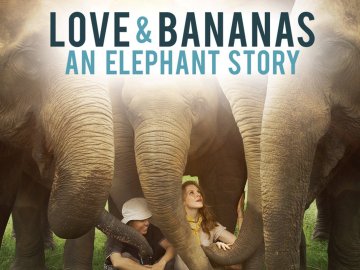 Love & Bananas: An Elephant Story