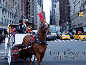 The Last Horsemen of New York