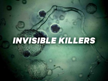 Invisible Killers