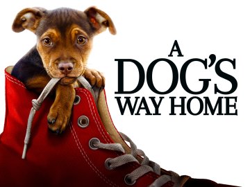 A Dog's Way Home