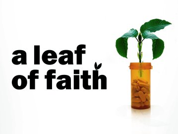 A Leaf of Faith