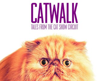 Catwalk: Tales from the Cat Show Circuit