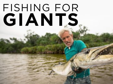 Fishing for Giants