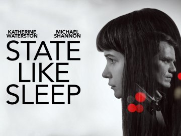 State Like Sleep