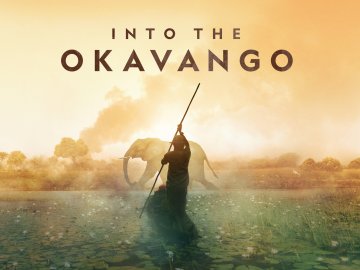 Into the Okavango