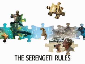 The Serengeti Rules