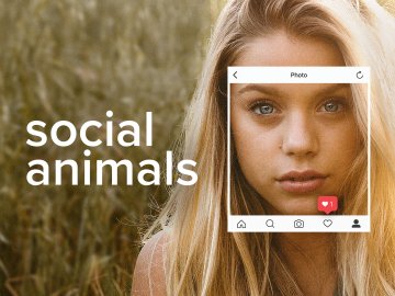 Social Animals