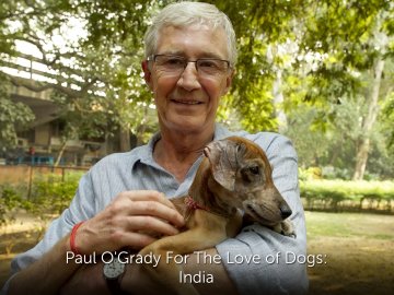 Paul O'Grady For The Love of Dogs: India