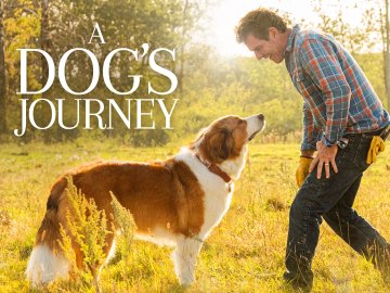 A Dog's Journey