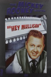 The Mickey Rooney Show
