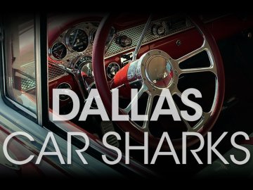 Dallas Car Sharks