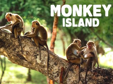 Monkey Island