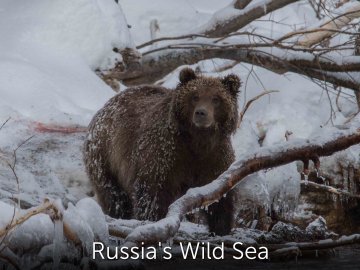 Russia's Wild Sea
