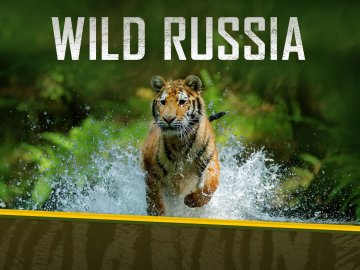 Wild Russia: Earth's Last Great Wilderness
