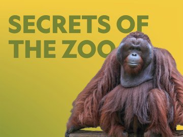 Secrets of the Zoo