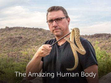 The Amazing Human Body