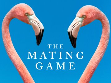 The Mating Game