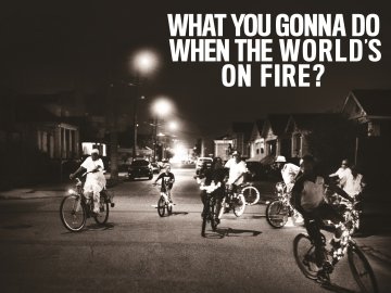 What You Gonna Do When the World's on Fire?