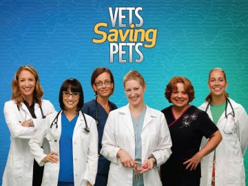 Vets Saving Pets