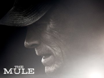 The Mule