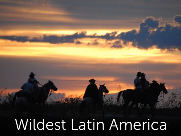 Wildest Latin America