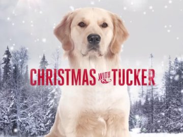 Christmas With Tucker