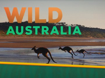 Wild Australia