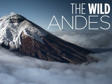 The Wild Andes