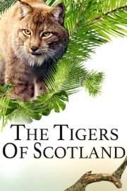 The Tigers of Scotland