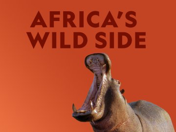 Africa's Wild Side