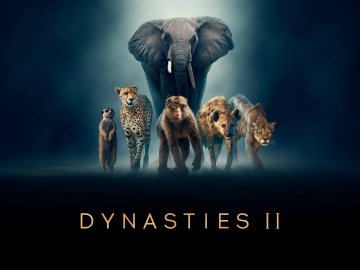 Dynasties