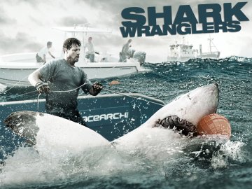 Shark Wranglers