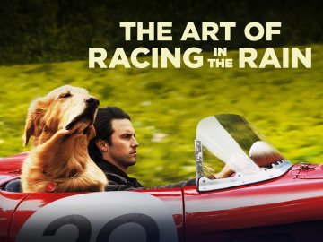 The Art of Racing in the Rain