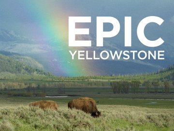 Epic Yellowstone