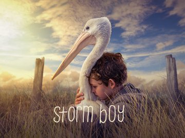 Storm Boy