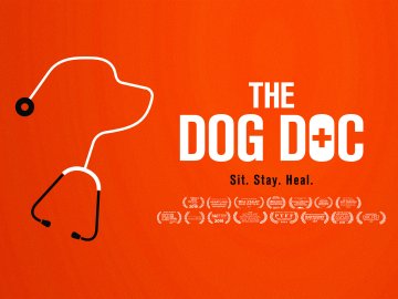 The Dog Doc